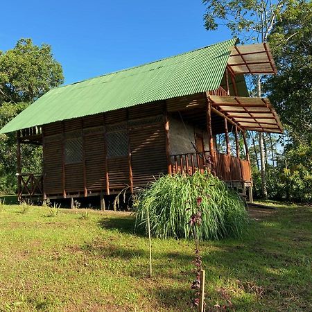 Eco Guest House- Sarapiqui 2 Luaran gambar