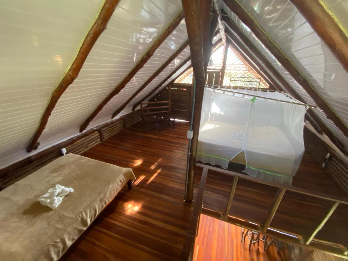 Eco Guest House- Sarapiqui 2 Luaran gambar