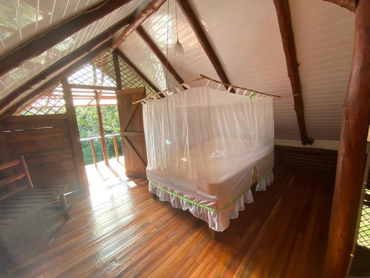 Eco Guest House- Sarapiqui 2 Luaran gambar